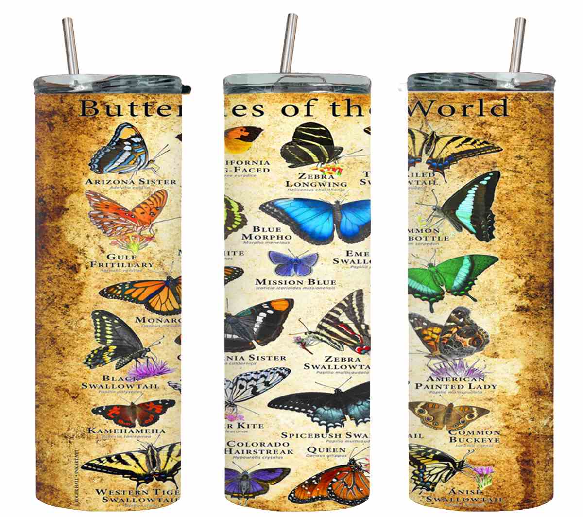 Butterflies of the World-8315